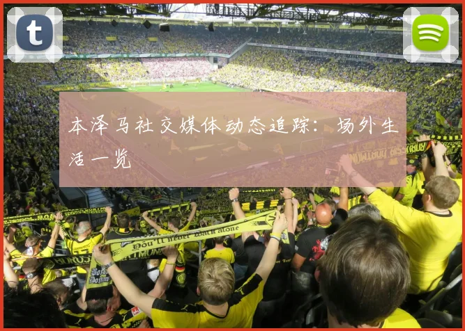 本泽马社交媒体动态追踪:场外生活一览