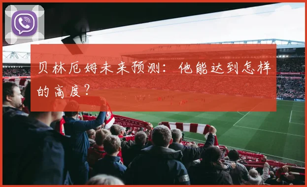 贝林厄姆未来预测：他能达到怎样的高度？