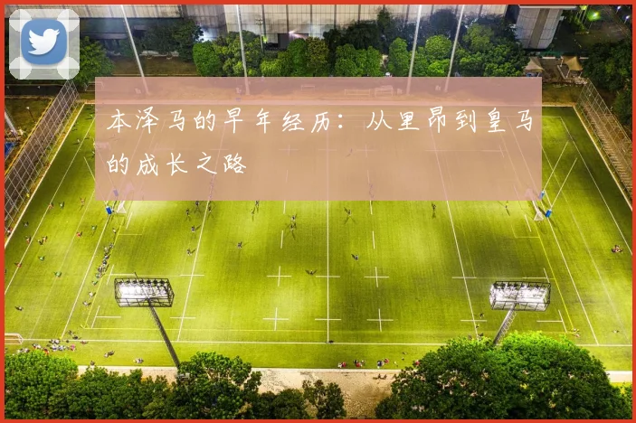 本泽马的早年经历：从里昂到皇马的成长之路